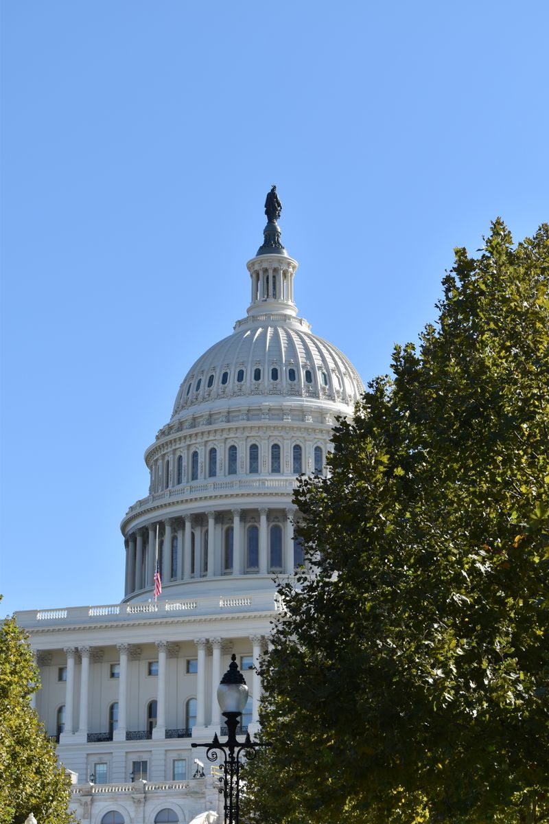 Brady Obligations in Federal Criminal Cases — What the Government Must Disclose and When